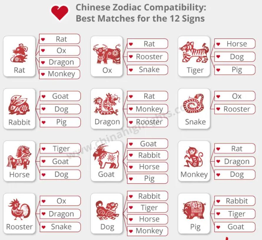 why is the cat not in the chinese zodiac