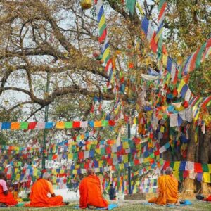 Buddha's Sermon Festival