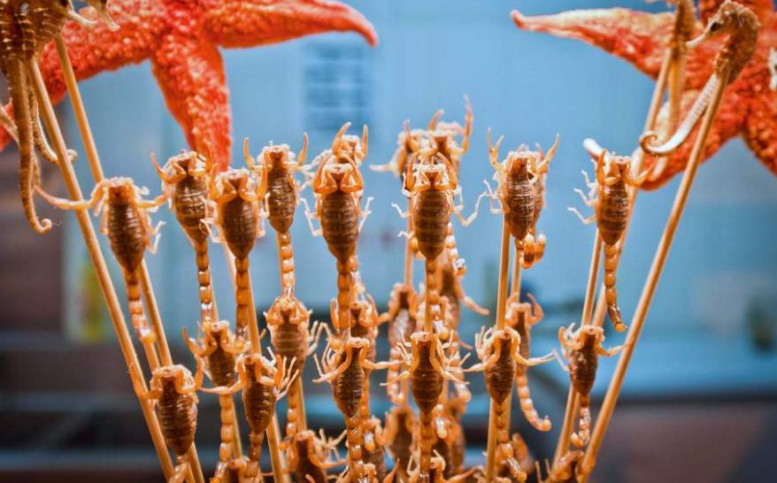 Fried scorpion and starfish, famous snacks in Beijing
