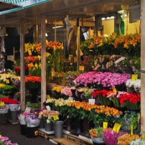 Guangzhou's 2022 Spring Festival Flower Fair