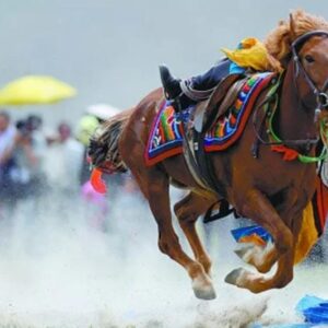 Gyantse Horse Race Festival