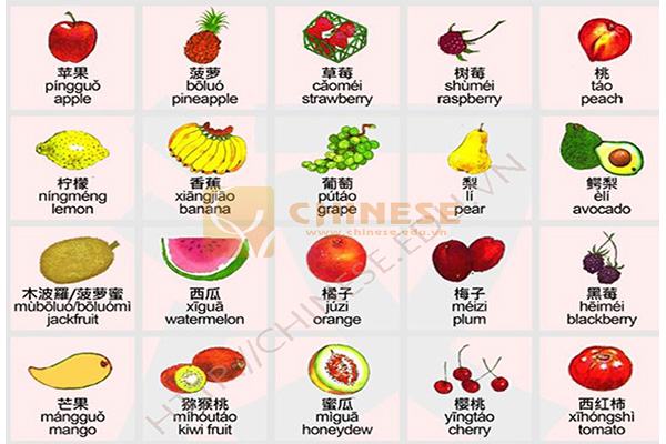 Từ vựng tiếng Trung về rau củ quả