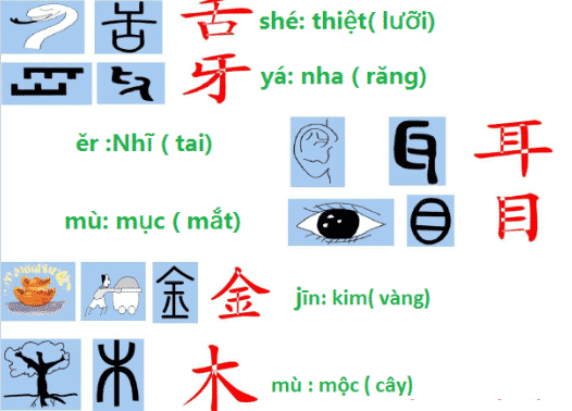 Chữ Tượng hình trong chữ Hán