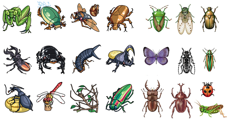 tên một số loài côn trùng trong tiếng Trung
