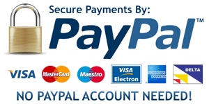 secure paypal payments