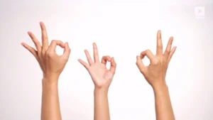 a5051fd1 3847 4df9 a089 1f875dbb0506 1a70e7b9 8f99 4a11 bd6e 26726a02d895 thumbnail