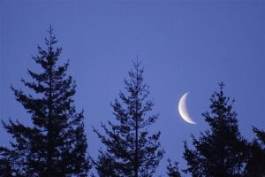 640px Jeff Fennell Early Morning Moon by