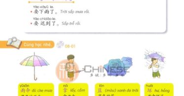 Giao-trinh-yct-4-bai-8