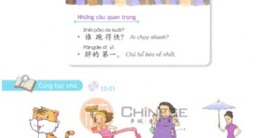 bai-10-giao-trinh-yct-3