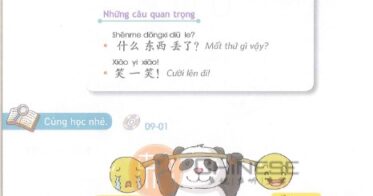 bai-9giao-trinh-yct-3