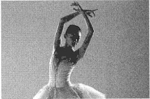 Bài 9: Lời giải và đáp án Sách bài tập Giáo trình Chuẩn HSK 2 1 Screenshot 2025 08 09 200030