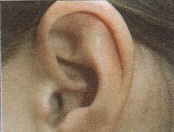 Bài 1: Lời giải và đáp án GT HSK 1 - Chào anh 4 Screenshot 2025 08 20 204814