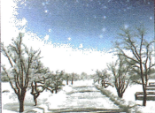 Bài 1: Lời giải và đáp án GT HSK 1 - Chào anh 12 Screenshot 2025 08 20 204850