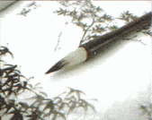 Bài 1: Lời giải và đáp án GT HSK 1 - Chào anh 19 Screenshot 2025 08 20 205124