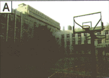 Bài 7: Lời giải và đáp án GT HSK 1 - 你吃什么? Nǐ chī shénme? Bạn ăn gì? 3 Screenshot 2025 09 05 181907