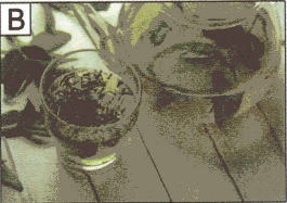 Bài 8: Lời giải và đáp án GT HSK 1 - Tôi muốn uống trà 4 Screenshot 2025 09 05 190609