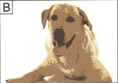 Bài 9: Lời giải và đáp án GT HSK 1 - Con trai anh làm việc ở đâu? 6 Screenshot 2025 09 05 195442