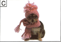 Bài 12: Lời giải và đáp án GT HSK 1 - Thời tiết ngày mai thế nào? 5 Screenshot 2025 09 06 134227