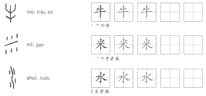Bài 11: Lời giải và đáp án Sách bài tập Giáo trình chuẩn YCT 1 1 Bai 11 SBT YCT1 anh 1