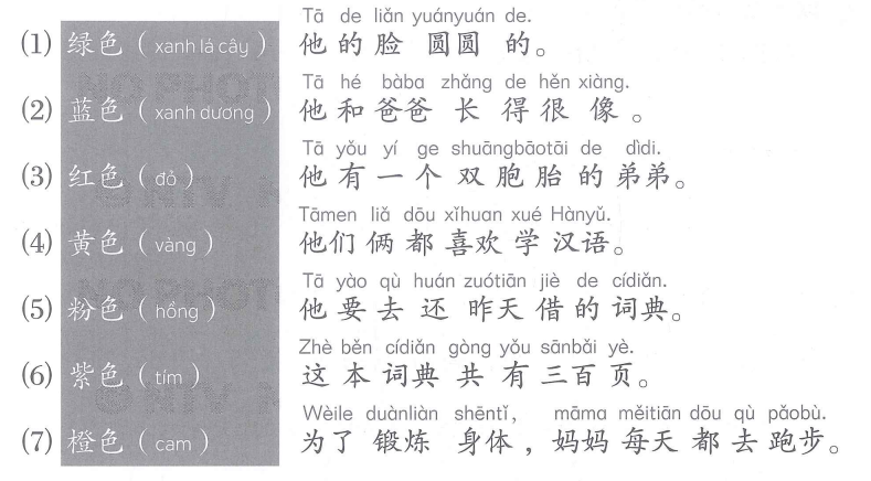 Bài 7: Lời giải và đáp án SBT Giáo trình Chuẩn YCT6 4 Bai 7 SBT YCT6 anh 3.1